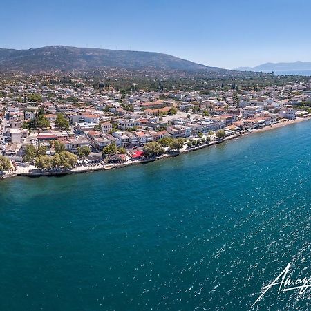 Seaside Villa Andronikos 阿马林索斯 外观 照片