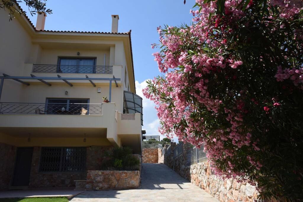 Seaside Villa Andronikos 阿马林索斯 外观 照片