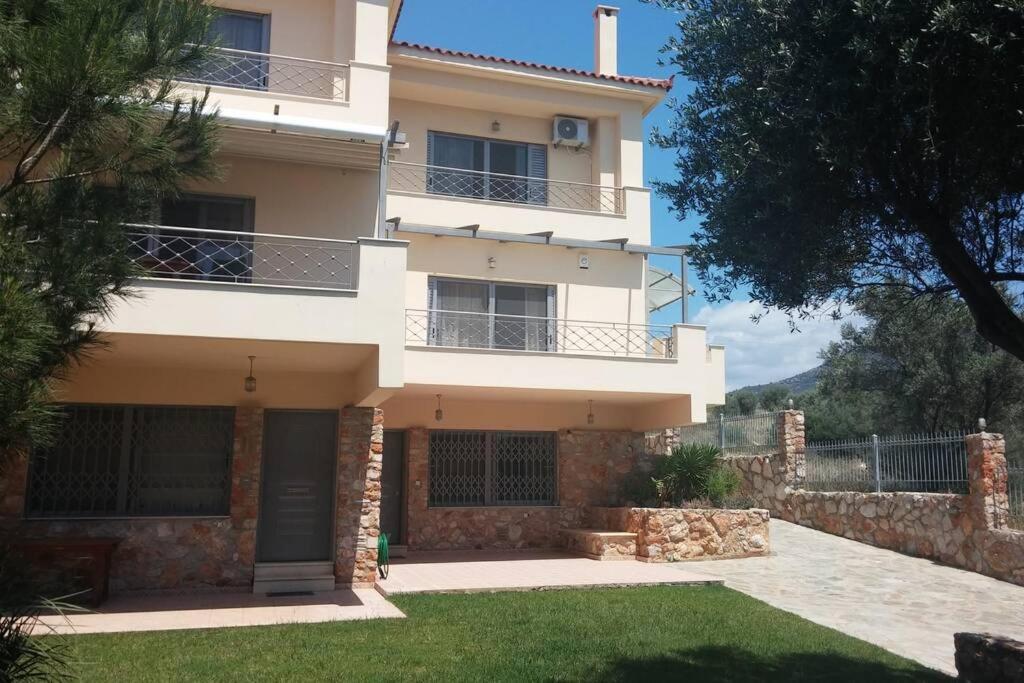 Seaside Villa Andronikos 阿马林索斯 外观 照片